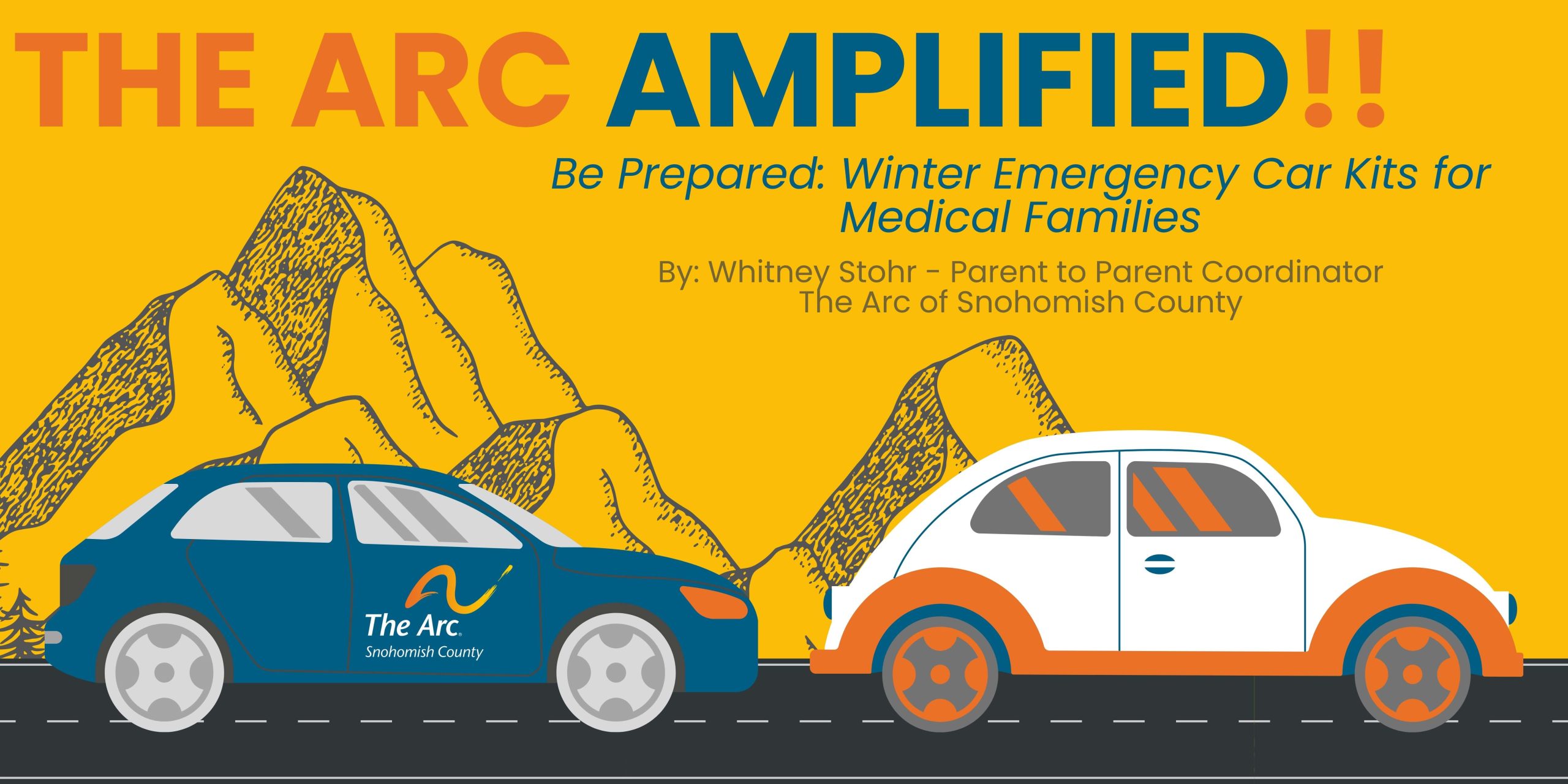 Car Emergency Kits The Arc Amplified 1