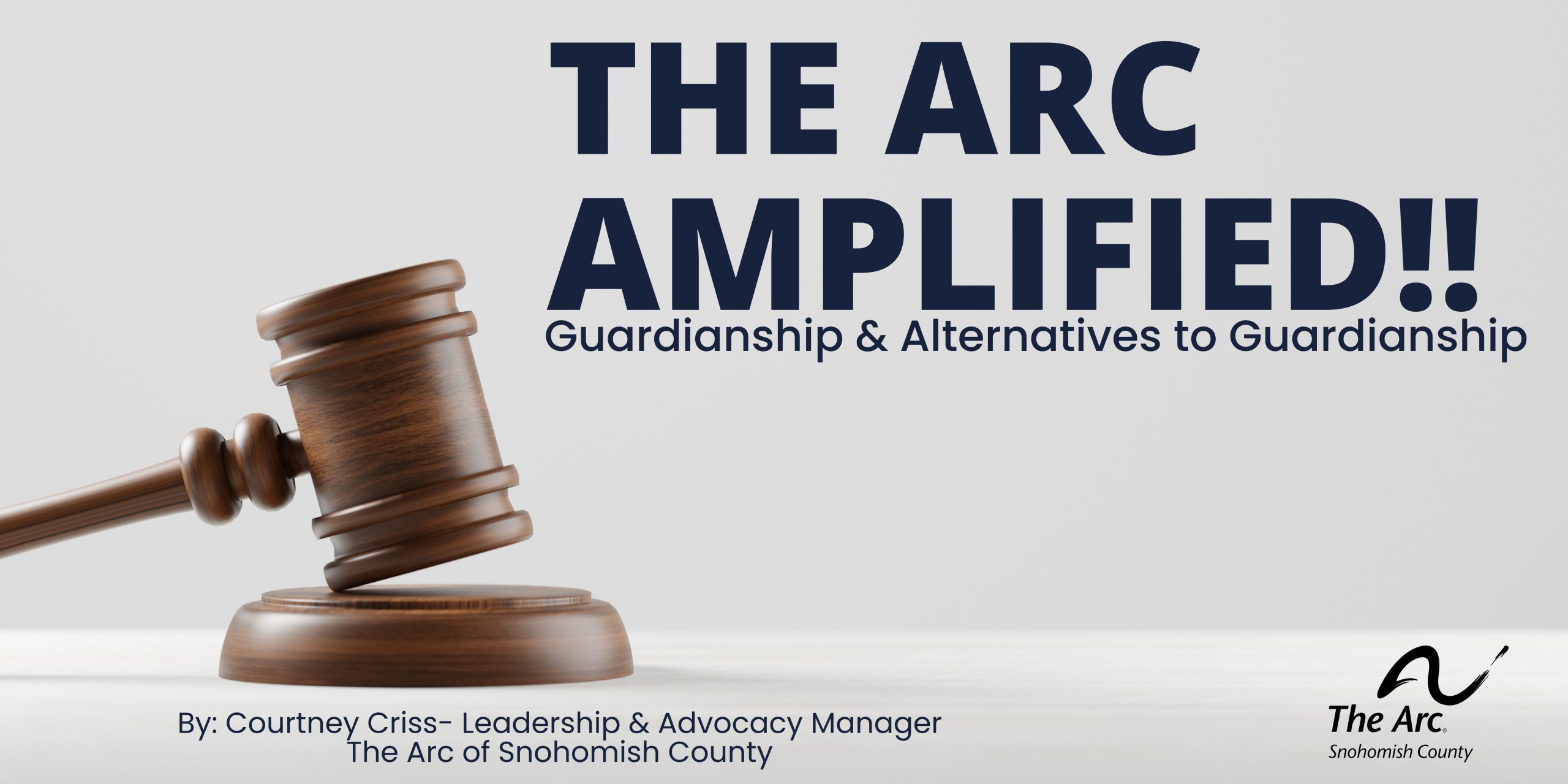 Guardianship Alternatives The Arc Amplified