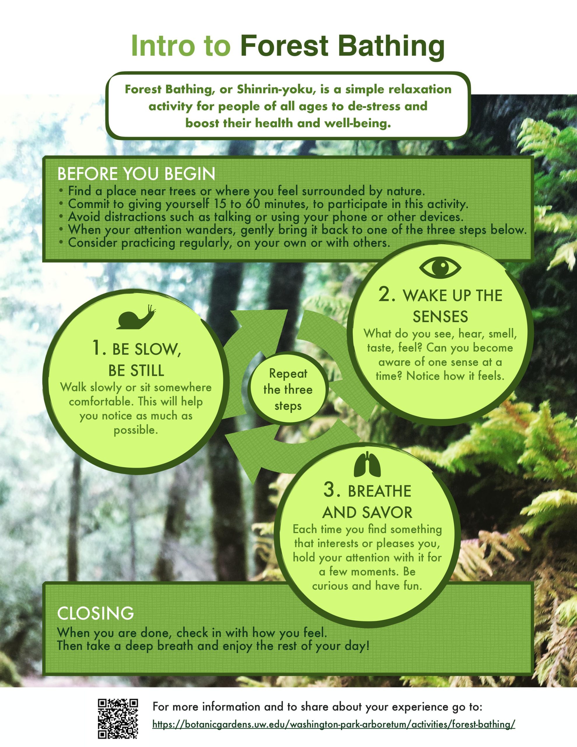 Intro to Forest Bathing UW Arboretum